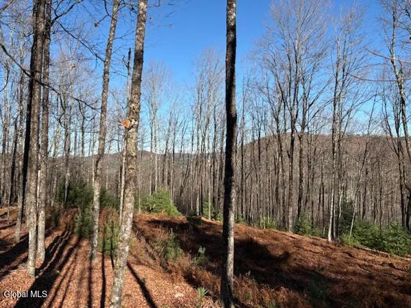 $165,000 | L3 Alder Brook Road, Bolton Landing, NY 12814