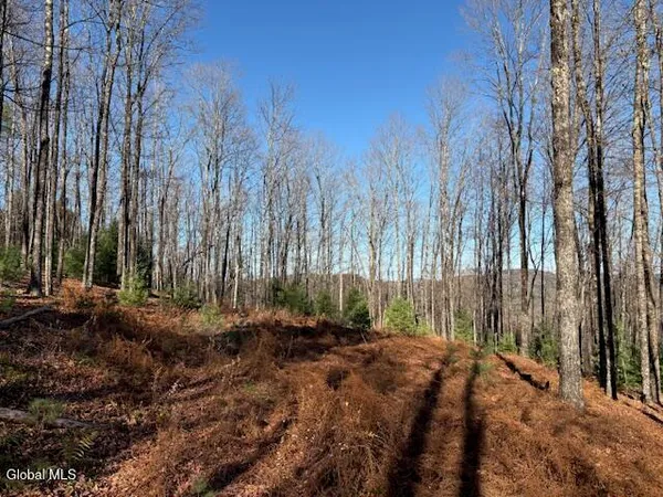 $165,000 | L3 Alder Brook Road, Bolton Landing, NY 12814