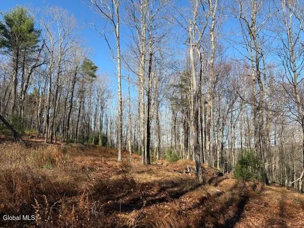 $165,000 | L3 Alder Brook Road, Bolton Landing, NY 12814