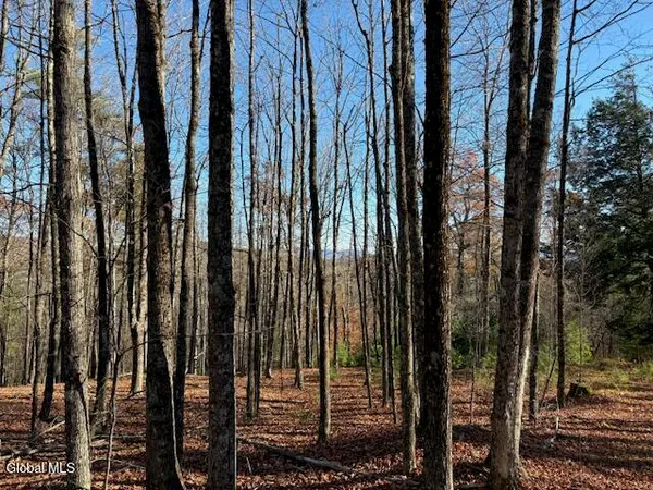 $165,000 | L3 Alder Brook Road, Bolton Landing, NY 12814