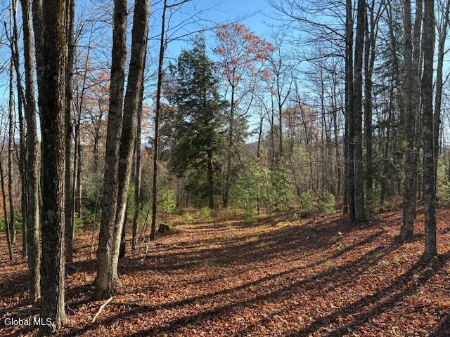 L3 Alder Brook Road Bolton Landing, NY 12814 - Photo 20 of 36 IMG_3020