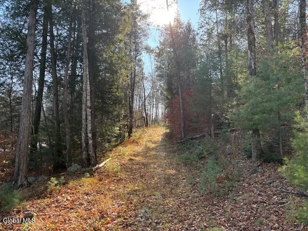 $165,000 | L3 Alder Brook Road, Bolton Landing, NY 12814