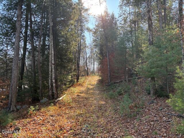 L3 Alder Brook Road Bolton Landing, NY 12814 - Photo 2 of 36 IMG_2983