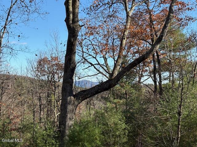L3 Alder Brook Road Bolton Landing, NY 12814 - Photo 21 of 36 IMG_3024