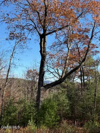 $165,000 | L3 Alder Brook Road, Bolton Landing, NY 12814