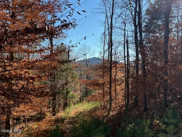 $165,000 | L3 Alder Brook Road, Bolton Landing, NY 12814