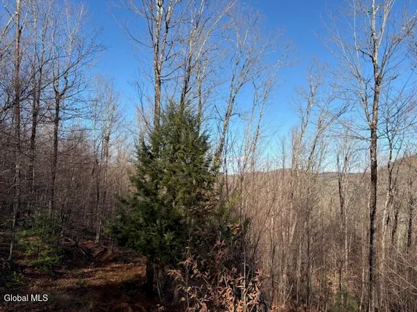 $165,000 | L3 Alder Brook Road, Bolton Landing, NY 12814