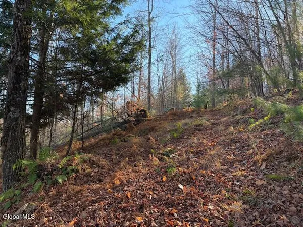$165,000 | L3 Alder Brook Road, Bolton Landing, NY 12814