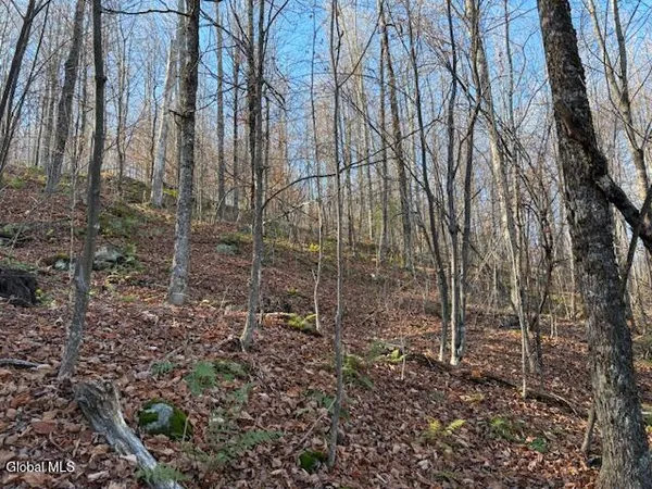 $165,000 | L3 Alder Brook Road, Bolton Landing, NY 12814