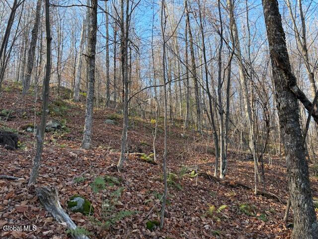 L3 Alder Brook Road Bolton Landing, NY 12814 - Photo 27 of 36 IMG_3039