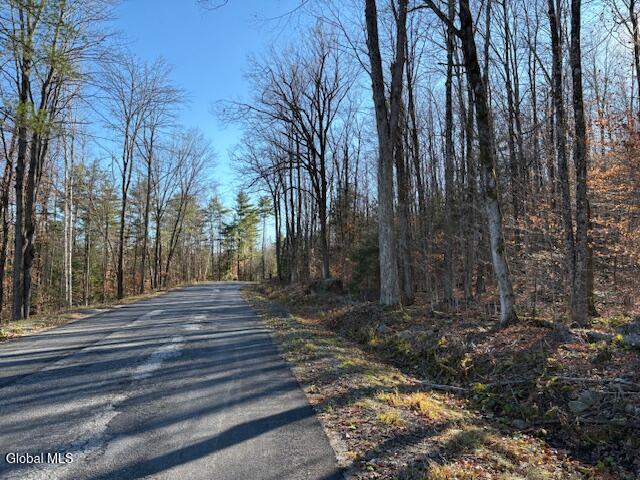 L3 Alder Brook Road Bolton Landing, NY 12814 - Photo 28 of 36 IMG_3042