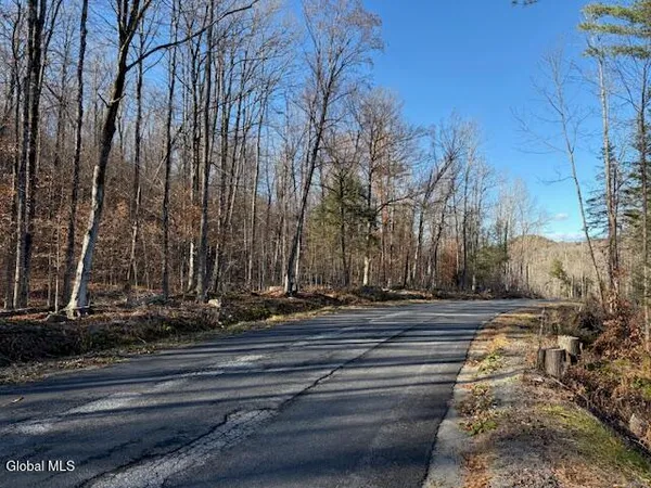 $165,000 | L3 Alder Brook Road, Bolton Landing, NY 12814