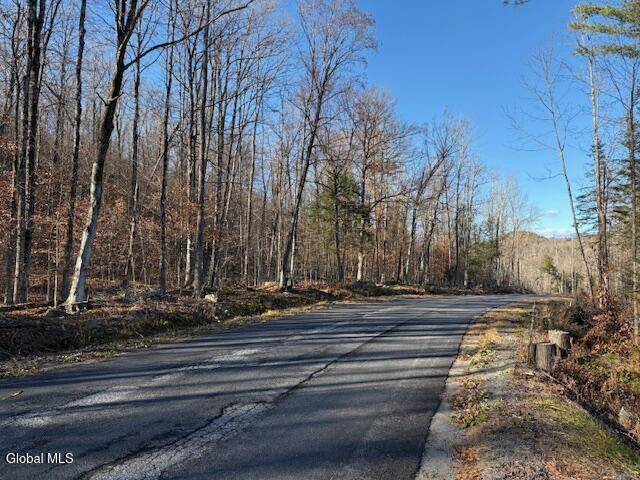 L3 Alder Brook Road Bolton Landing, NY 12814 - Photo 29 of 36 IMG_3046