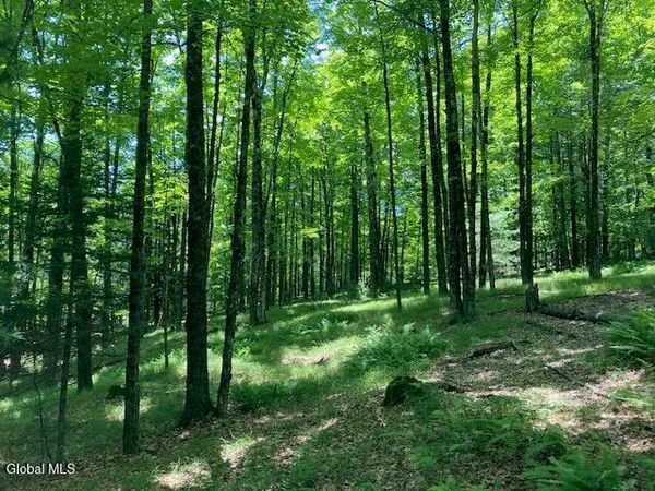 $165,000 | L3 Alder Brook Road, Bolton Landing, NY 12814
