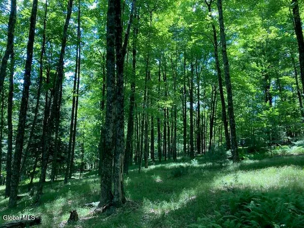 $165,000 | L3 Alder Brook Road, Bolton Landing, NY 12814