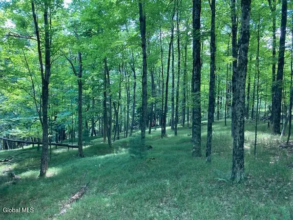 $165,000 | L3 Alder Brook Road, Bolton Landing, NY 12814
