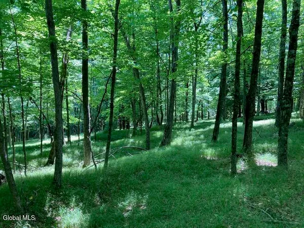 $165,000 | L3 Alder Brook Road, Bolton Landing, NY 12814