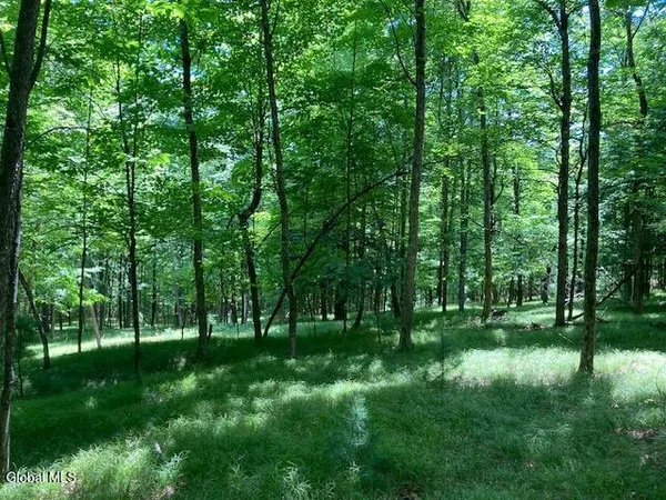 $165,000 | L3 Alder Brook Road, Bolton Landing, NY 12814