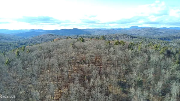$165,000 | L3 Alder Brook Road, Bolton Landing, NY 12814