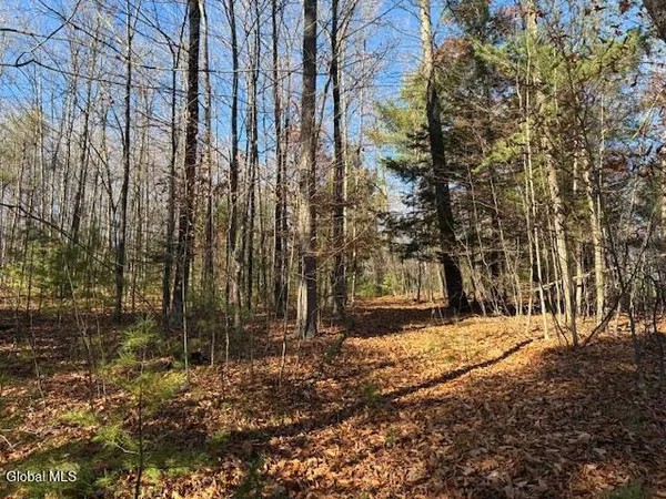 $165,000 | L3 Alder Brook Road, Bolton Landing, NY 12814