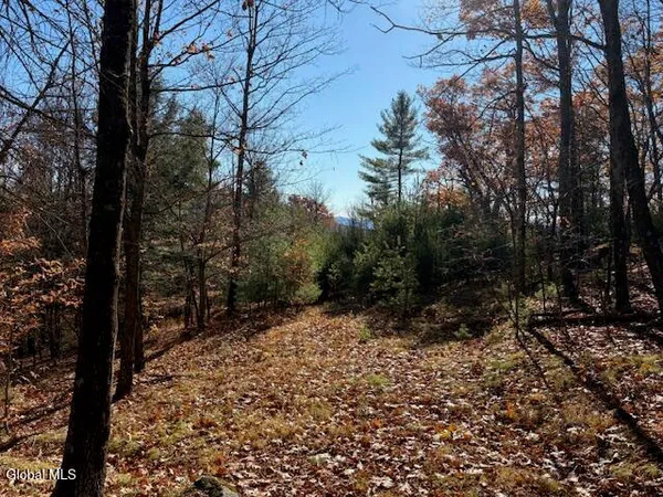 $165,000 | L3 Alder Brook Road, Bolton Landing, NY 12814