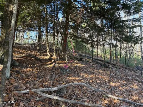 $165,000 | L3 Alder Brook Road, Bolton Landing, NY 12814