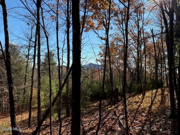 $165,000 | L3 Alder Brook Road, Bolton Landing, NY 12814