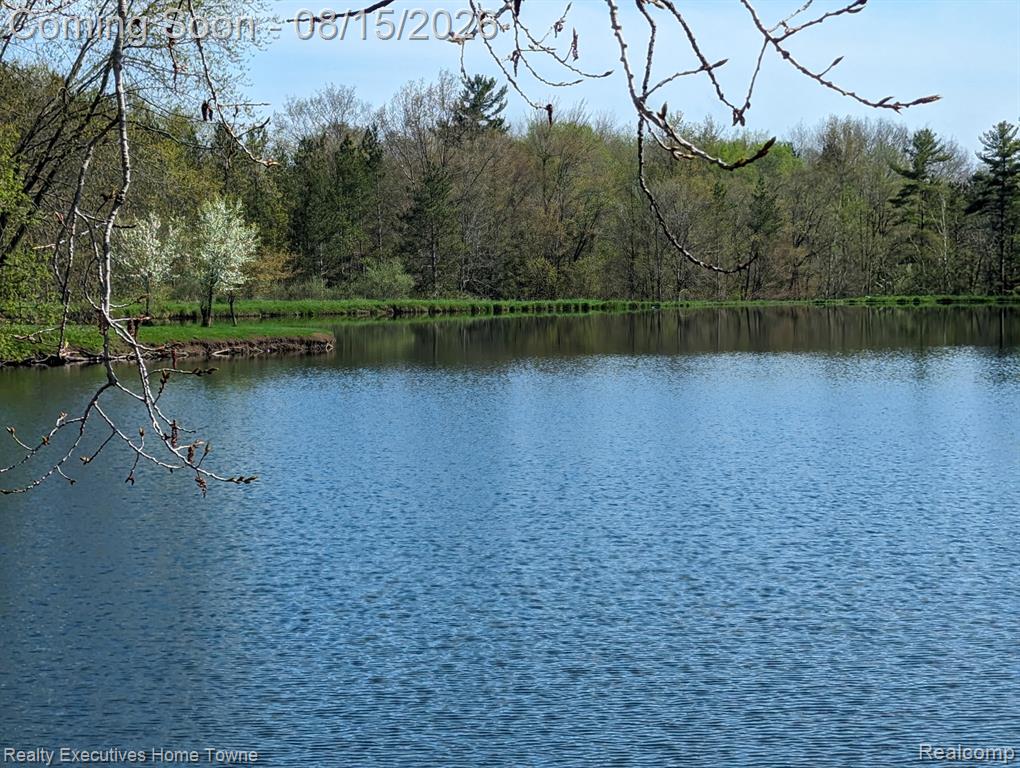 3830 Loree Road Deckerville, MI 48427 - Photo 52 of 70 Gallery Image 52