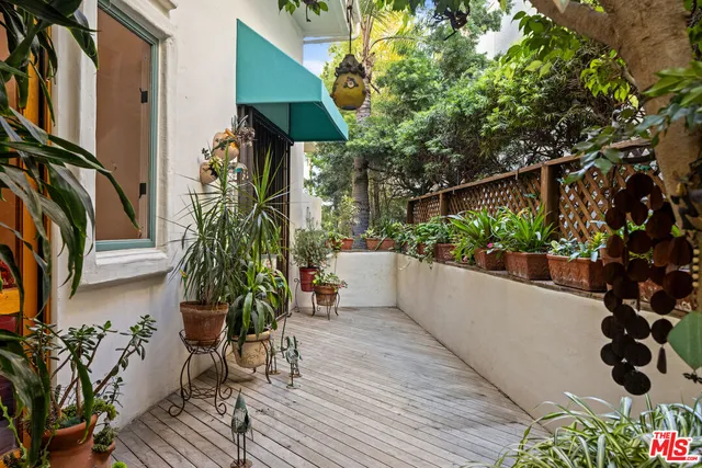 a potted plant sitting in front of a house