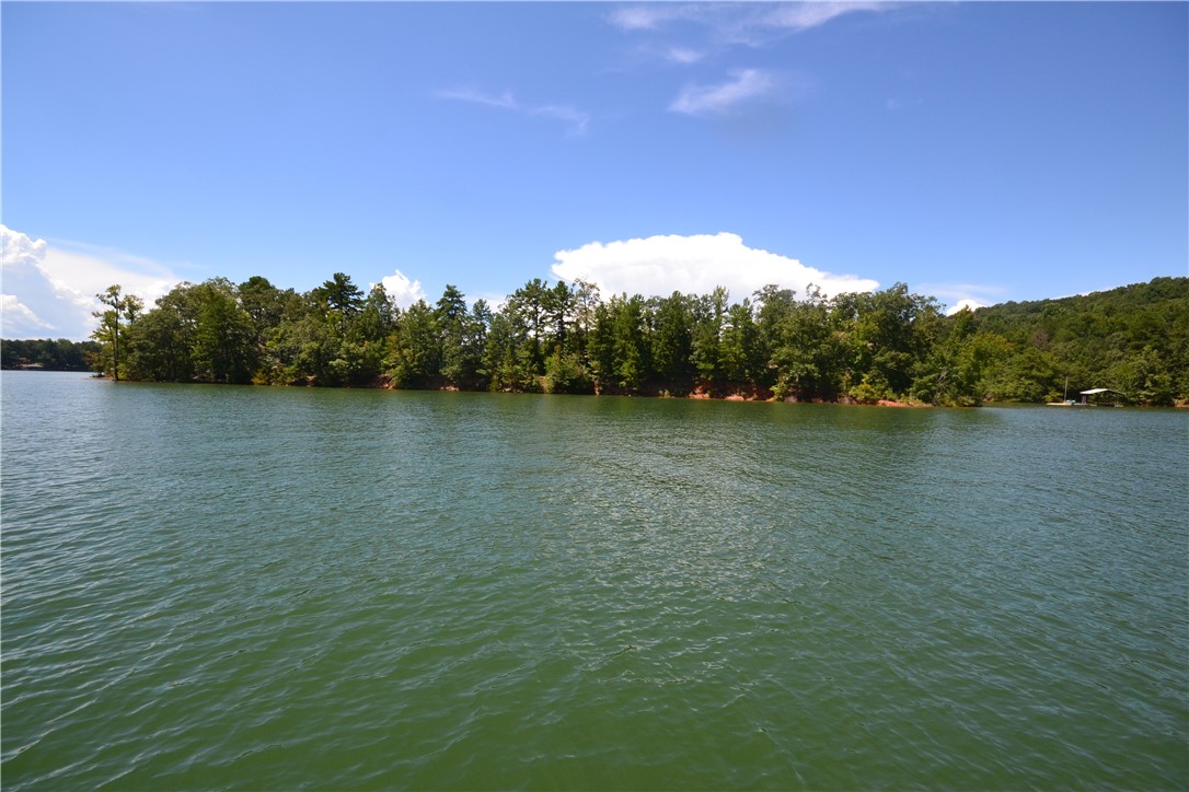 Lot 1696 Point Road Westminster, SC 29693 - Photo 8 of 24 Gallery Image 8