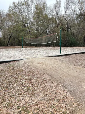 a view of backyard space