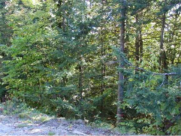 - Hoyt Brook Road Danbury, NH 03230 - Photo 1 of 1 Gallery Image 1