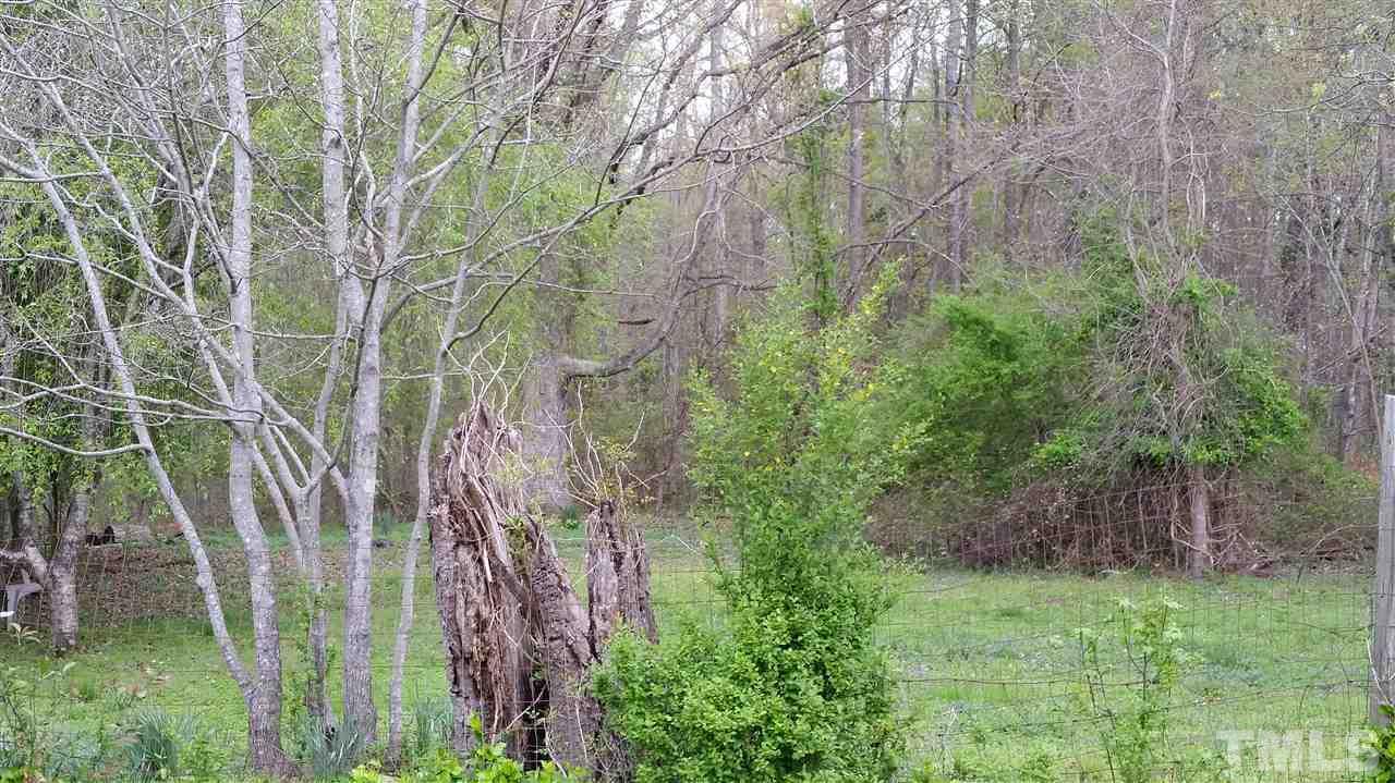 3119 Cheek Road Durham, NC 27704 - Photo 2 of 6 a backyard of a house with lots of green space