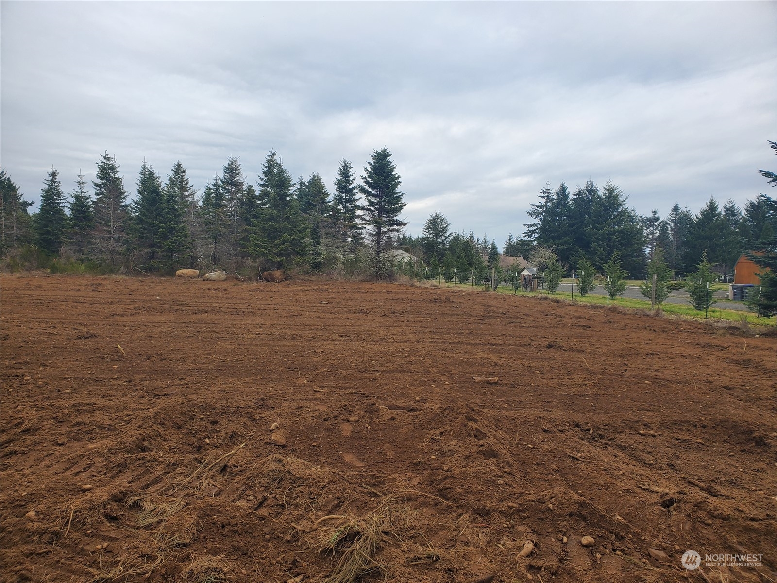 0 Southeast Ashley Road Shelton, WA 98584 - Photo 3 of 13 Gallery Image 3