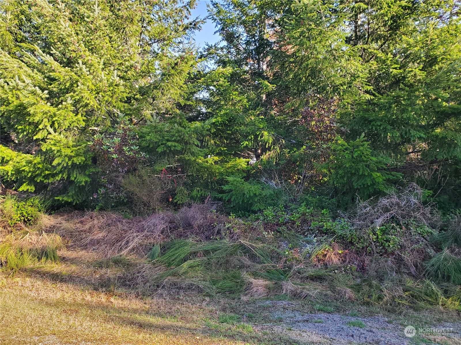 0 Southeast Ashley Road Shelton, WA 98584 - Photo 9 of 13 Gallery Image 9