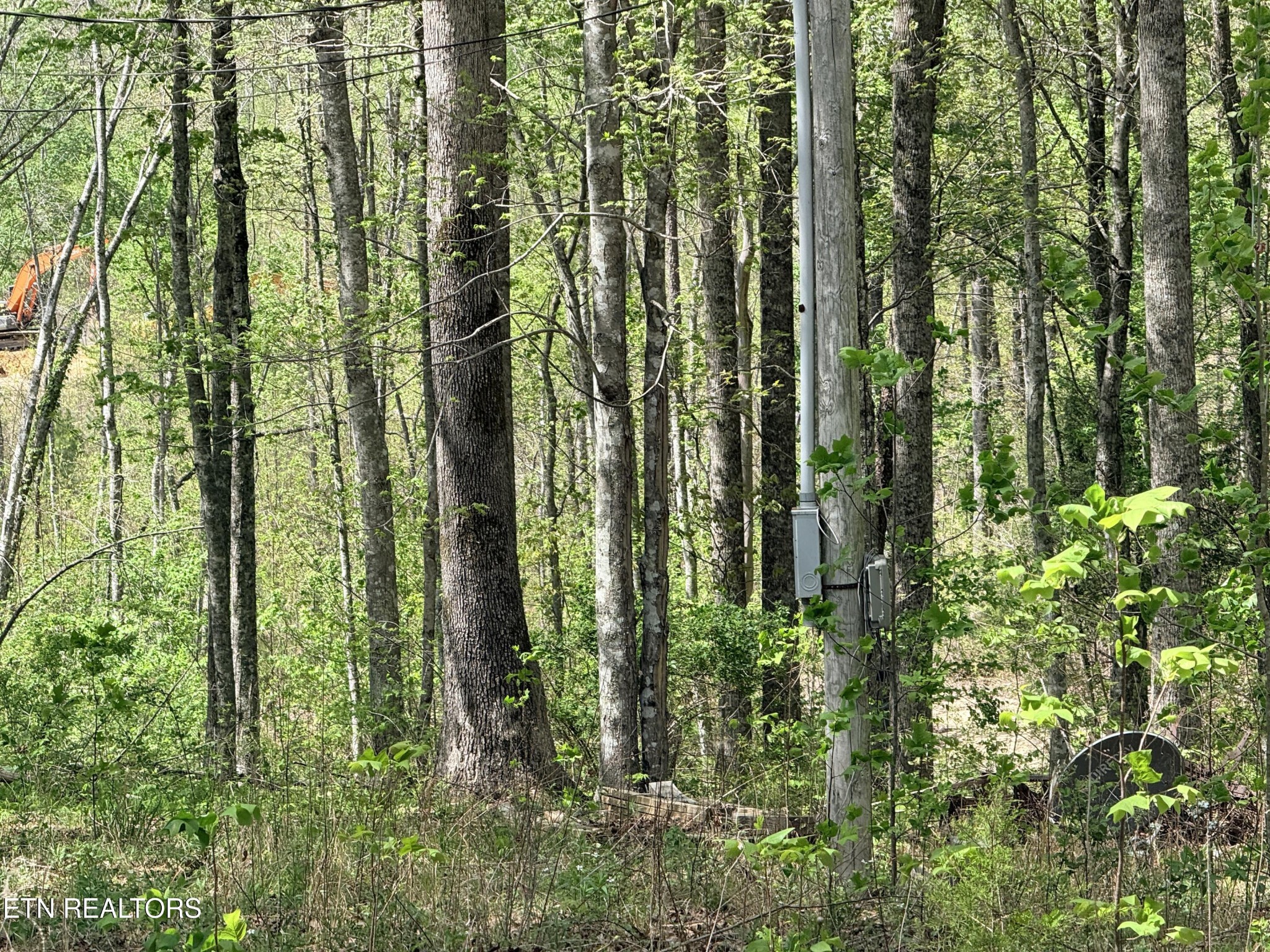 238 Joe Barnett Road Jamestown, TN 38556 - Photo 10 of 10 Gallery Image 10