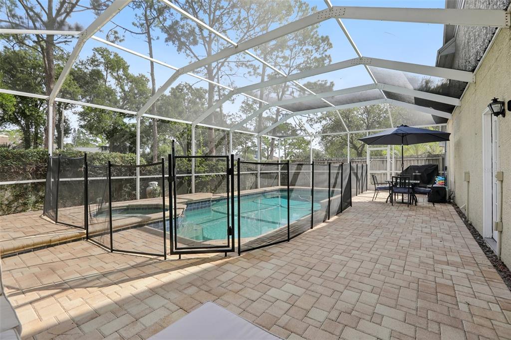 14534 Nettlecreek Road Tampa, FL 33624 - Photo 37 of 46