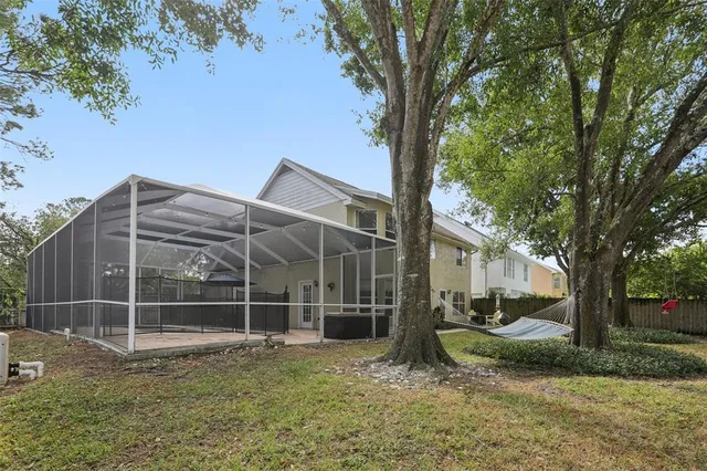 a view of a field with a tree