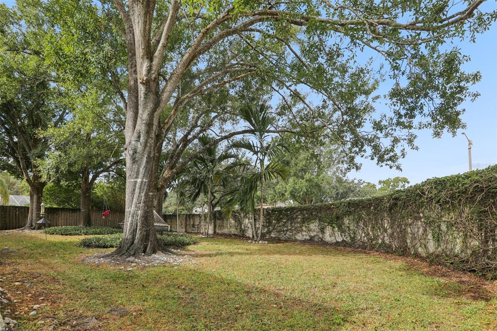 14534 Nettlecreek Road Tampa, FL 33624 - Photo 43 of 46