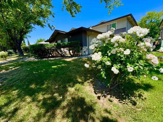 a view of a bunch of flowers in front of house