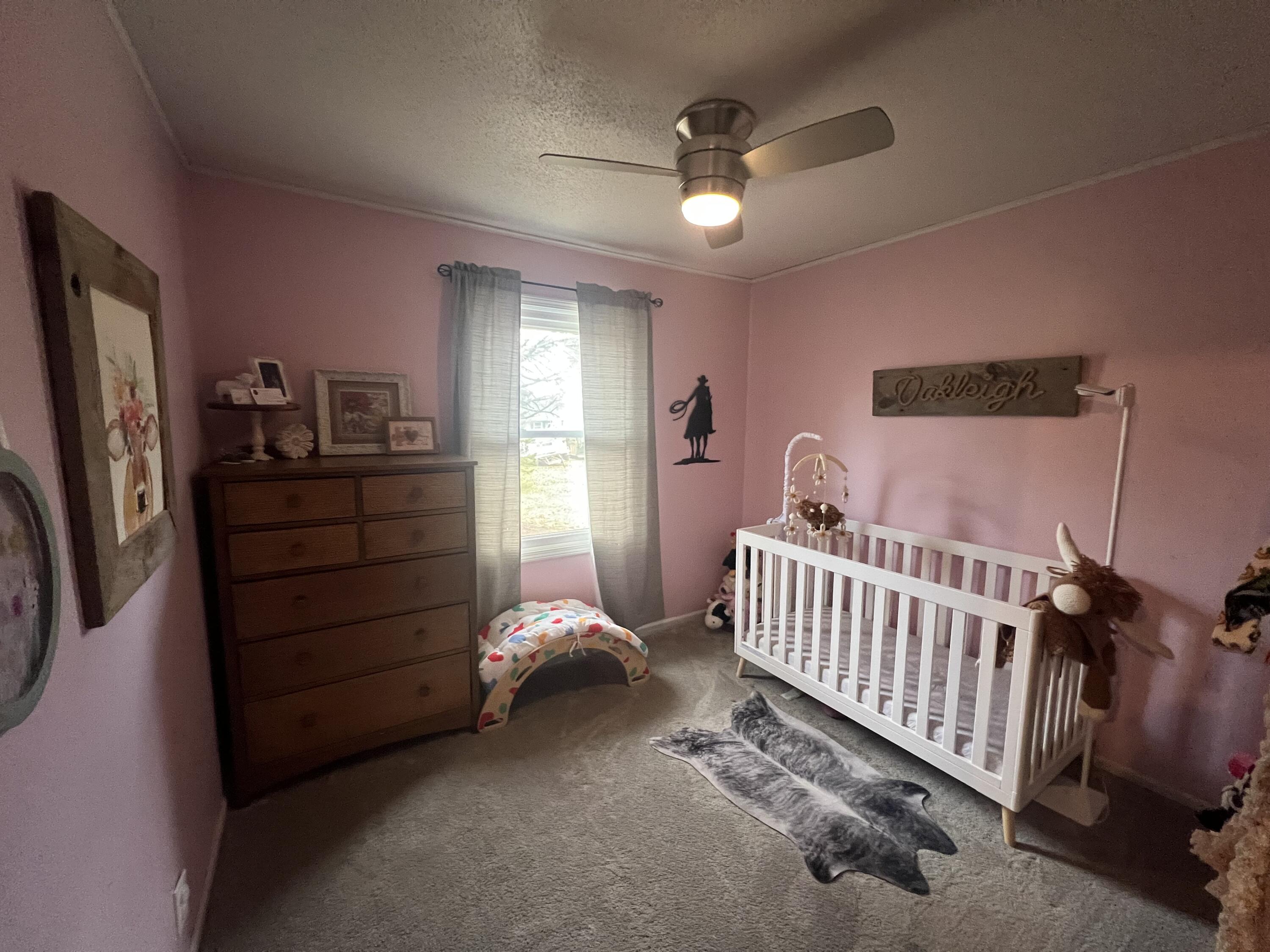 275 Lizzie Street Hesperia, MI 49421 - Photo 11 of 22 IMG_6246