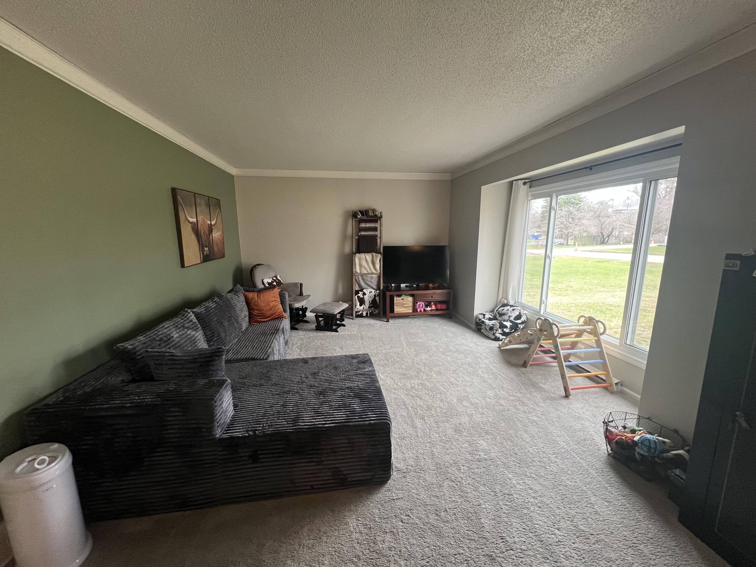 275 Lizzie Street Hesperia, MI 49421 - Photo 15 of 22 IMG_6242