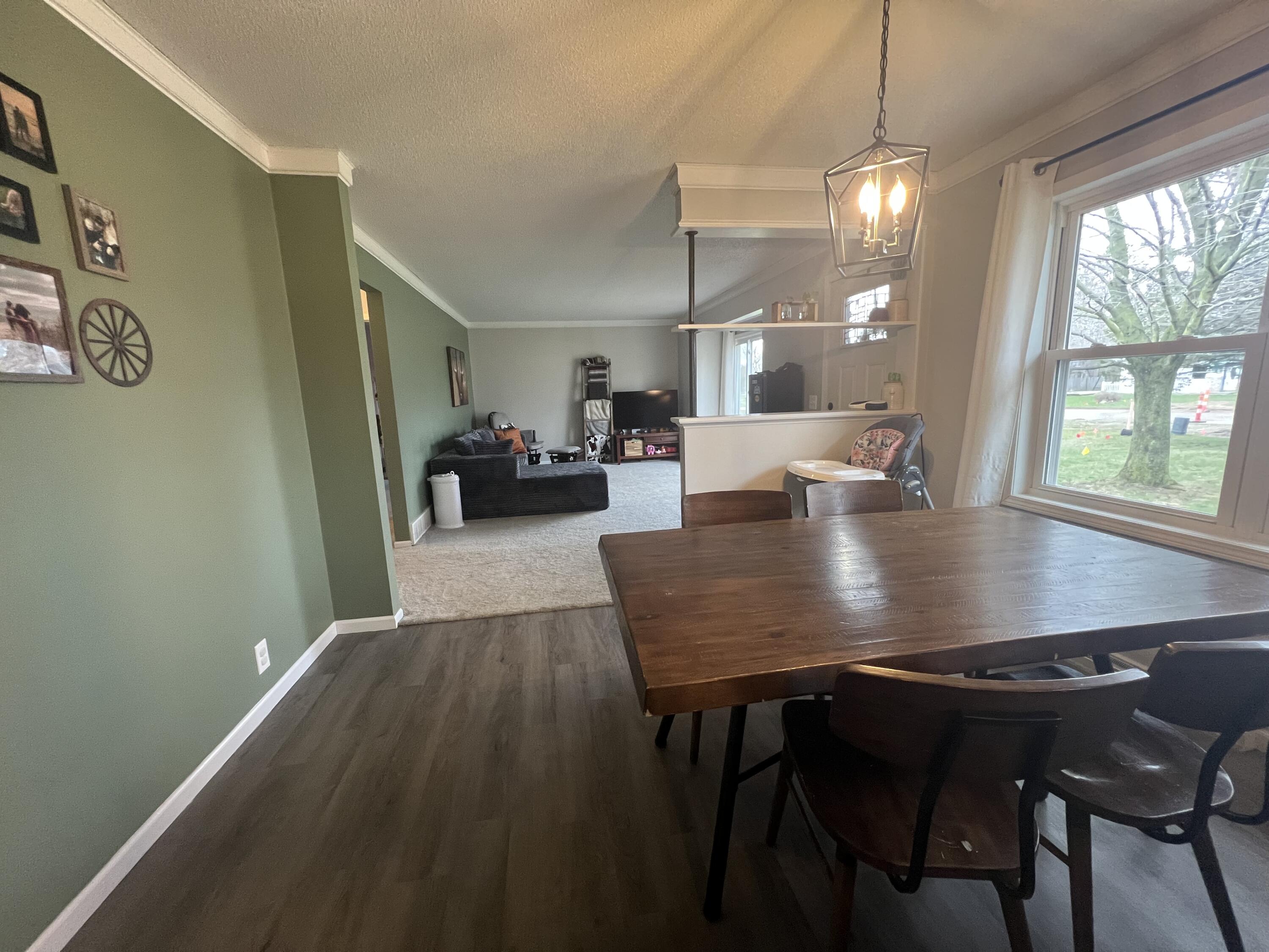 275 Lizzie Street Hesperia, MI 49421 - Photo 6 of 22 IMG_6255