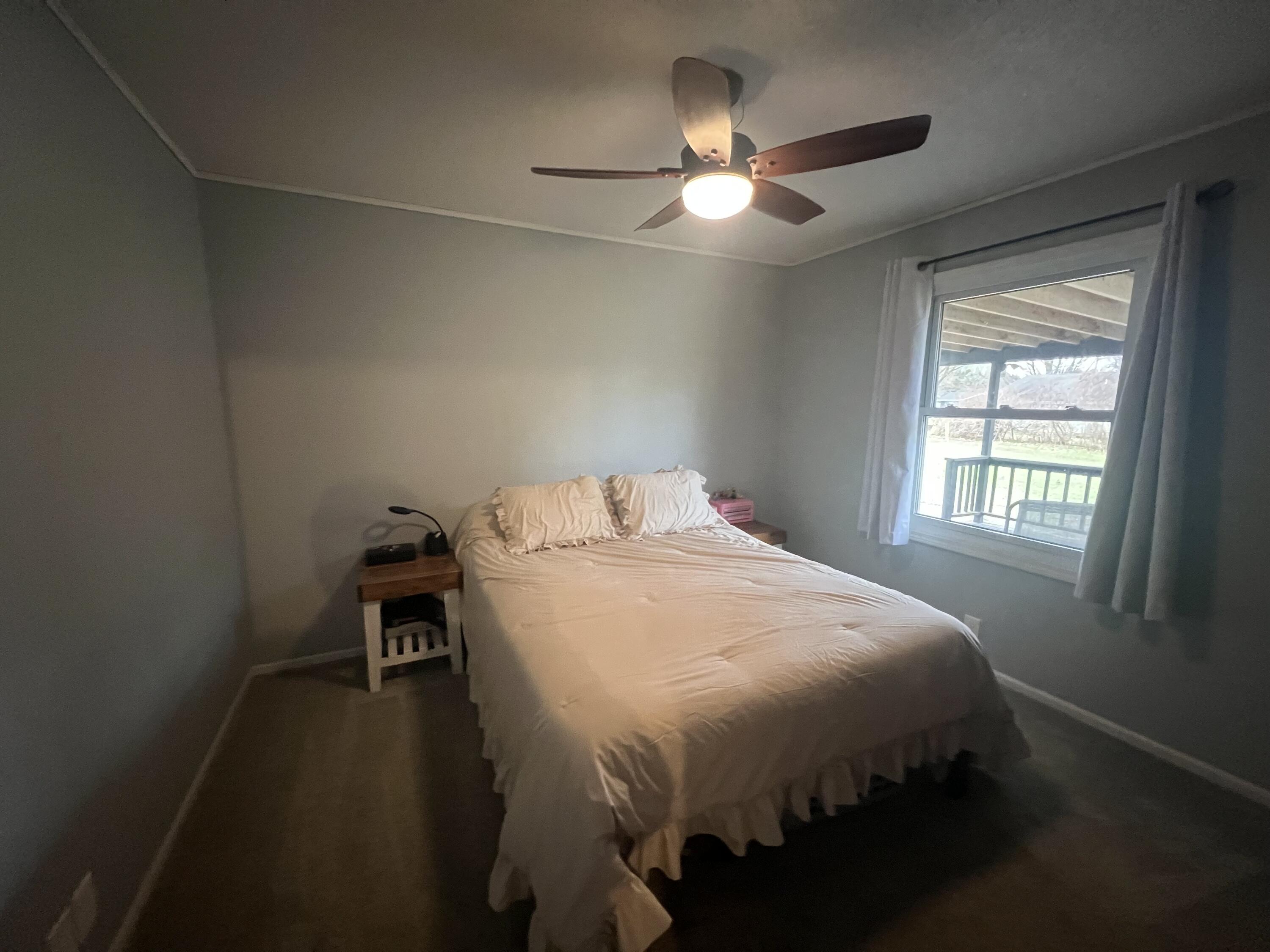 275 Lizzie Street Hesperia, MI 49421 - Photo 9 of 22 IMG_6248