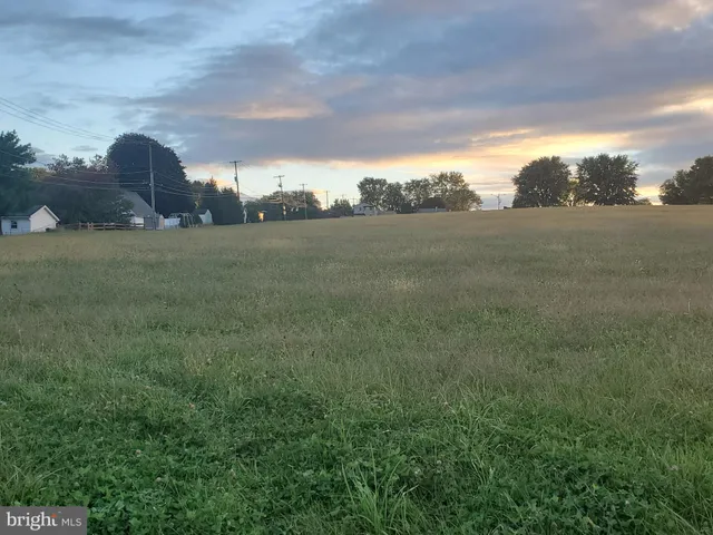 a view of a trees with a big yard