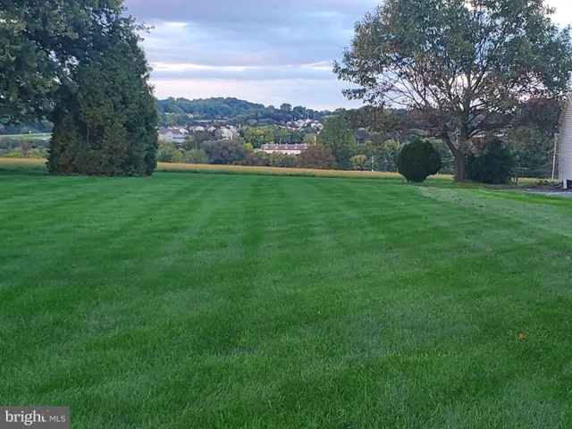 a view of a garden with trees