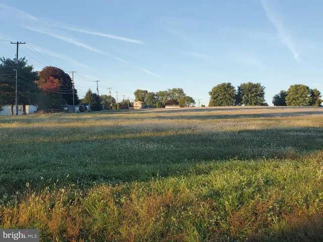 a view of a park with large trees
