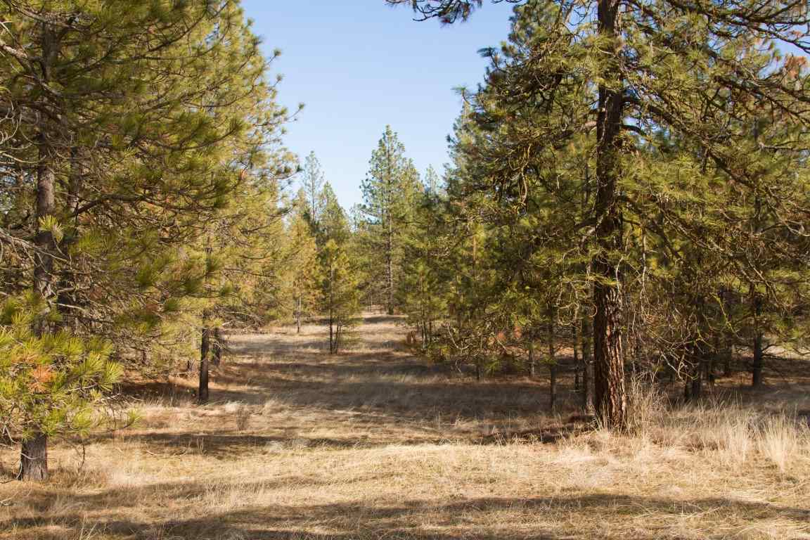 5305 Jergens Road Deer Park, WA 99006 - Photo 1 of 18 Gallery Image 1