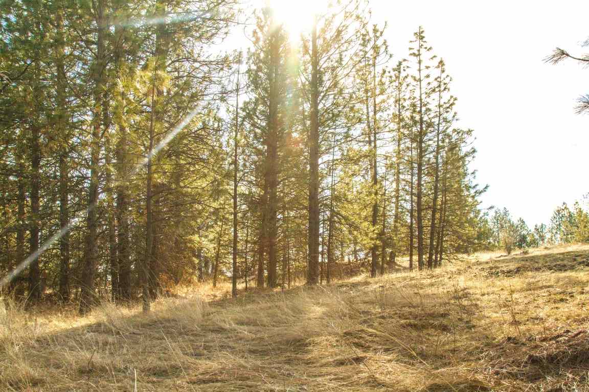 5305 Jergens Road Deer Park, WA 99006 - Photo 2 of 18 Gallery Image 2