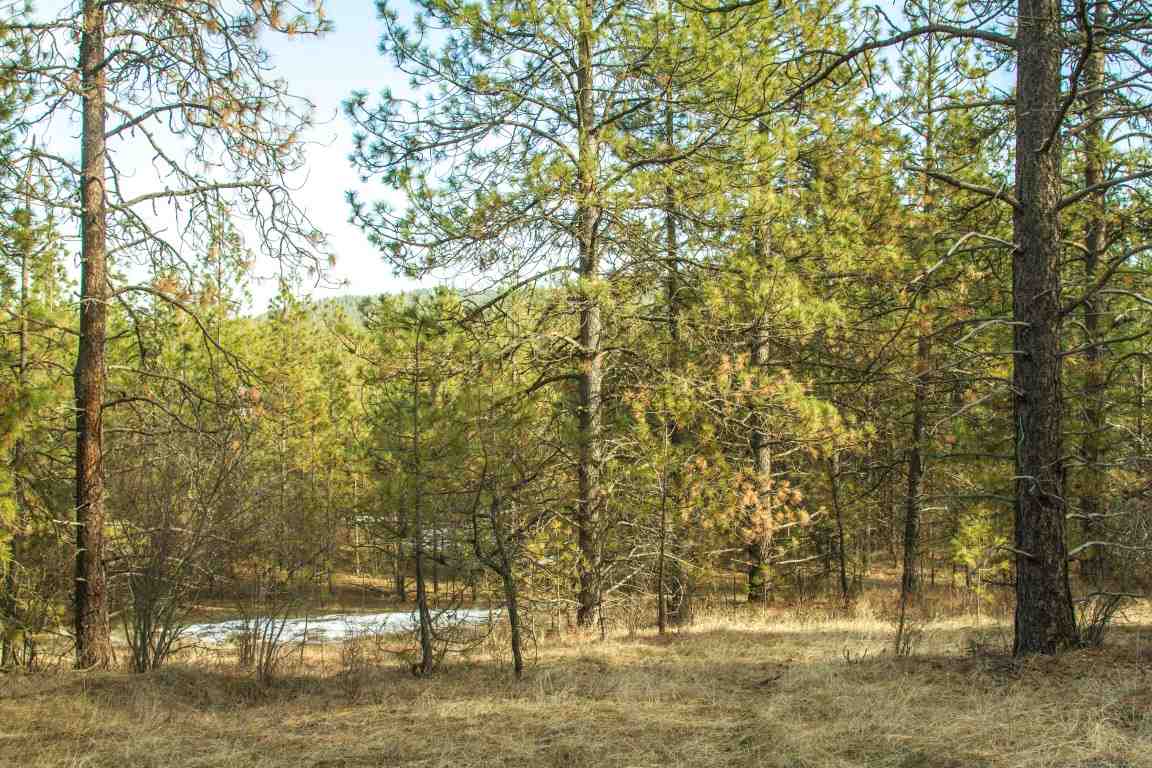 5305 Jergens Road Deer Park, WA 99006 - Photo 12 of 18 Gallery Image 12
